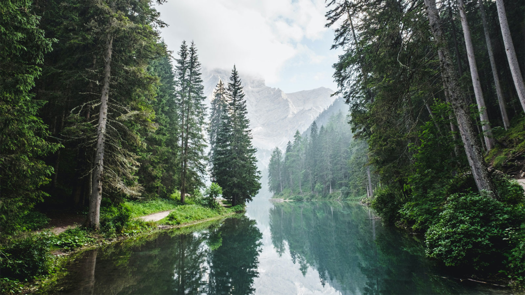 grüne-Fluss-Landschaft-mit-Bäumen